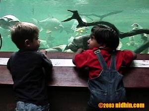 bronxzoo022