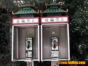 bronxzoo045