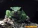 bronxzoo007