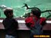 bronxzoo022