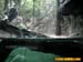 bronxzoo033