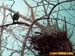 bronxzoo046