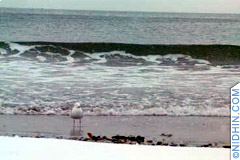 Brooklyn's Coney Island